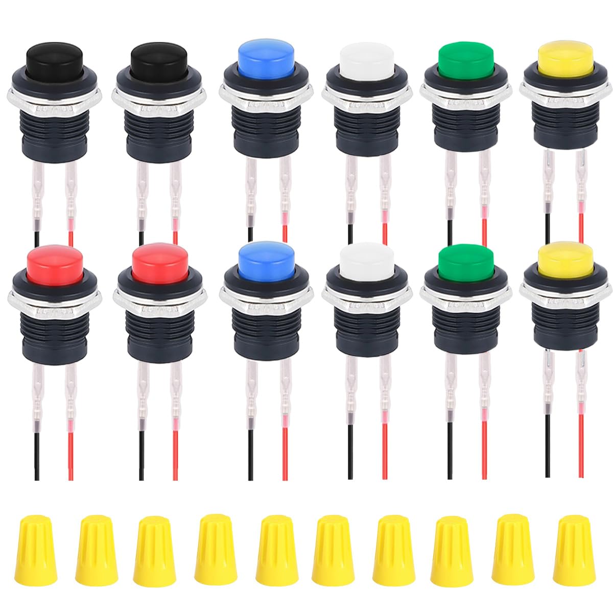 繋　(繁忙期中コメント返信遅れる場合あり コンパクト法螺貝　赤紐極小セット BG2000 EuroBasket 2025 公式試合球 レプリカ（7号球） | モルテン公式